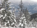 The snowy landscape of Christina Lake in winter.